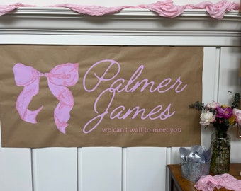 May include: A brown paper banner with a pink bow and the text "Palmer James" in pink cursive writing. The text below reads "we can't wait to meet you".