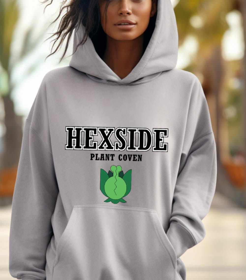 Disney The Owl House Matching Hoodie, Hexside School Of Magic Healing ...