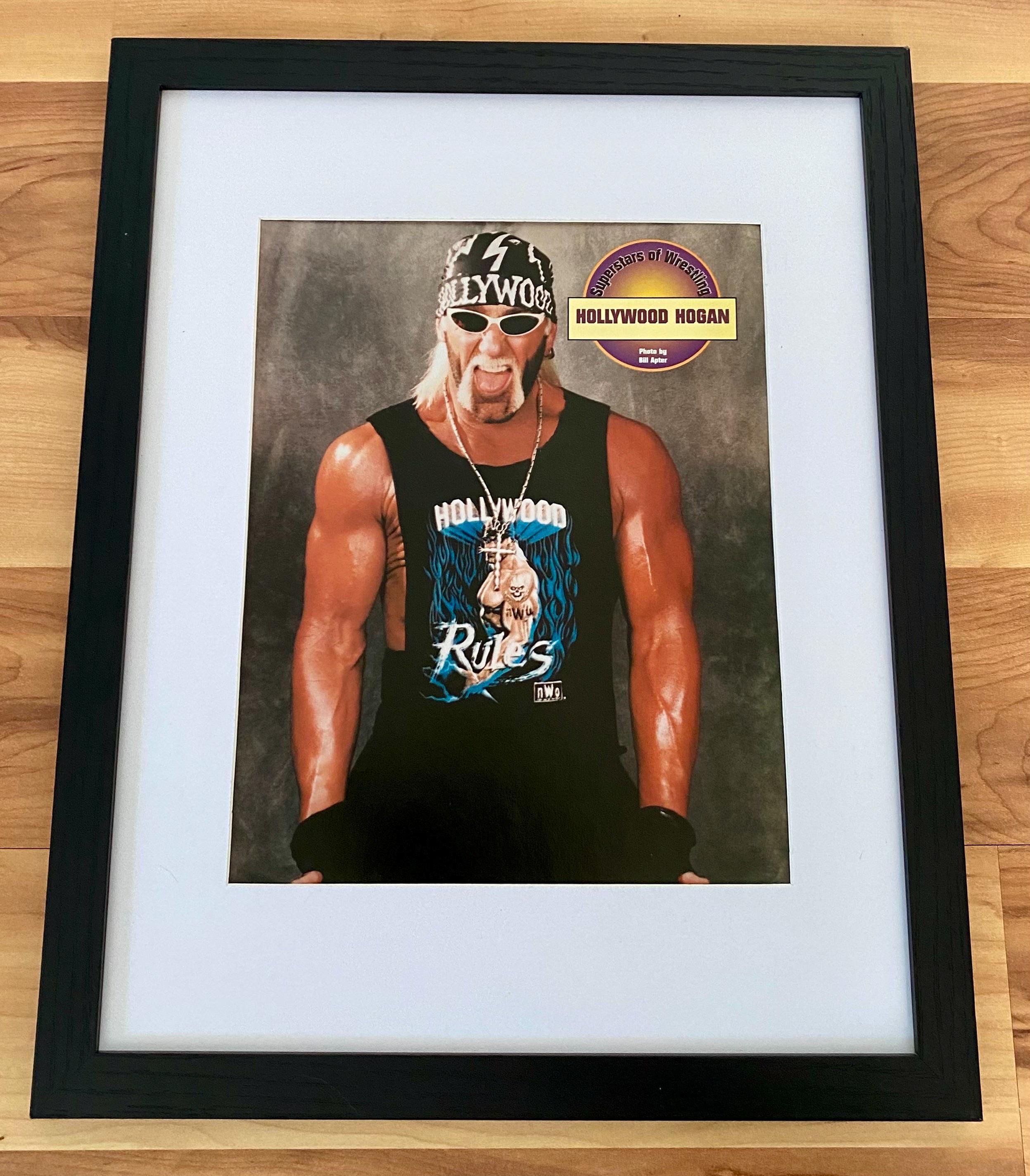 Hulk Hogan WCW Very Rare Vintage NWO Picture Photo Print Hollywood