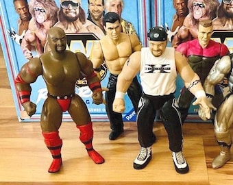 Wwe Wrestling Action Figures - Wwf - WWE- WCW - Ecw - Mick Foley