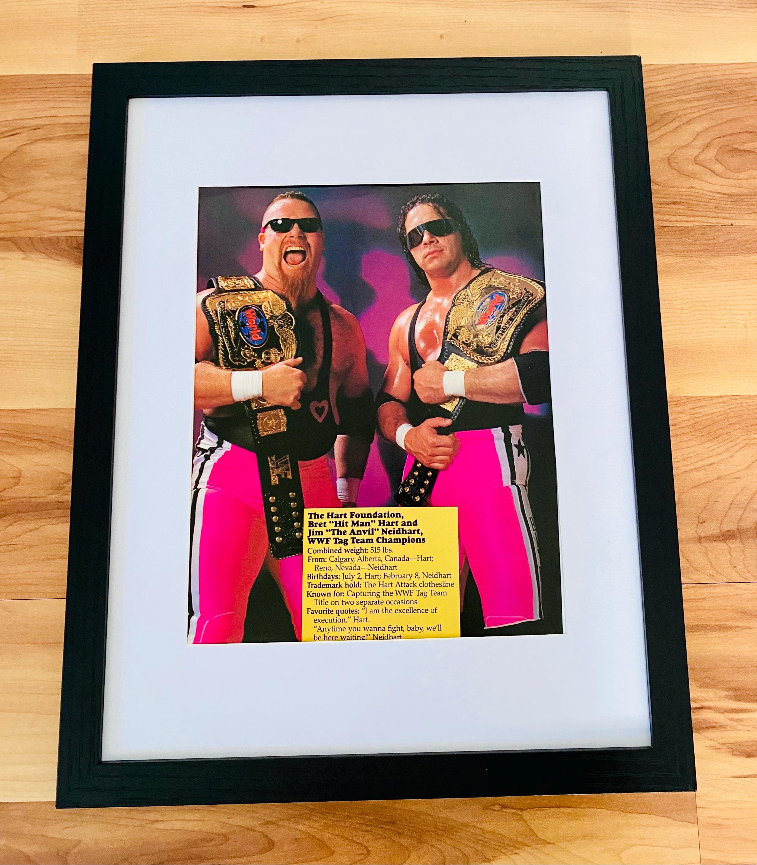 アメコミ HART FOUNDATION Bret Hart Vintage Hart Foundation WWF 1990 Original WWE Picture