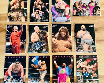 1994 Action Packed WWF card Lot Vintage WWE Rare Rookie cards Huge Lot Mint