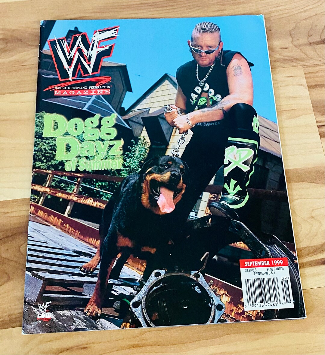 WWF Magazine September 1999 DX Road Dogg Jesse James W/ Divas Paster WWE Etsy