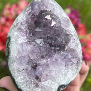 Raw Natural Amethyst Geode Cluster with Cut Base
