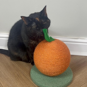 Oranje sisal kattenkrabpaal – leuke fruitvormige krabber, interactief kattenspeelgoed, duurzaam sisaltouw, meubelbeschermer, speeltijd voor huisdier