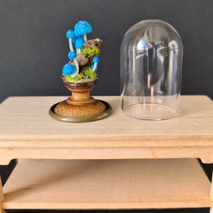 Glass Terrarium with Mushrooms