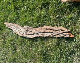 Cottonwood bark decor