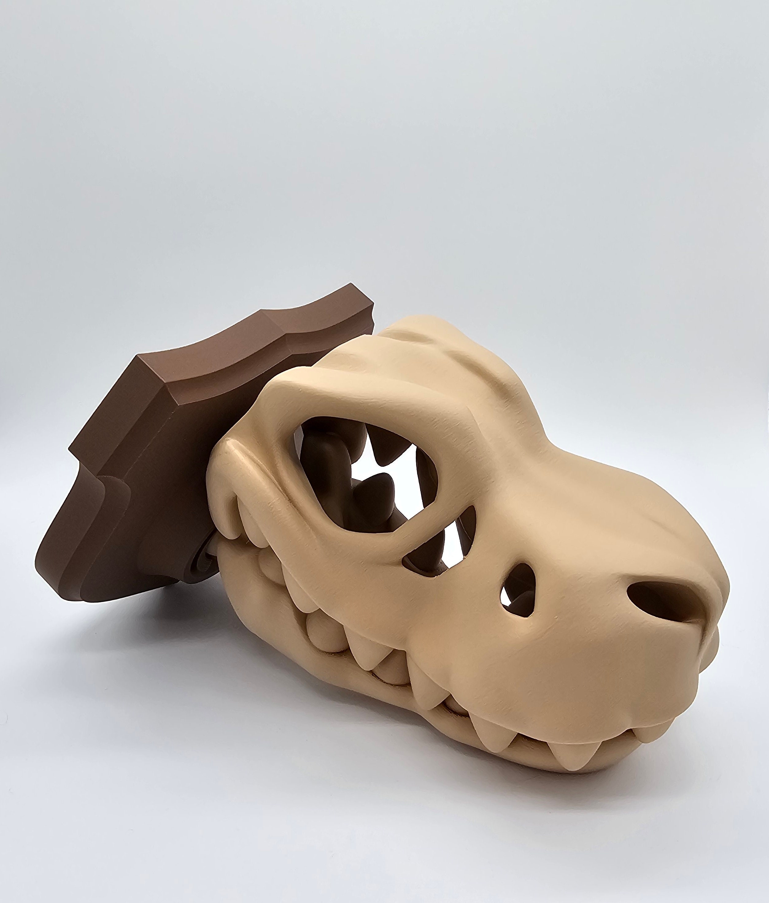 T-rex Skull on Plaque 3d Print Dinosaur Bones Room Decoration Trex ...