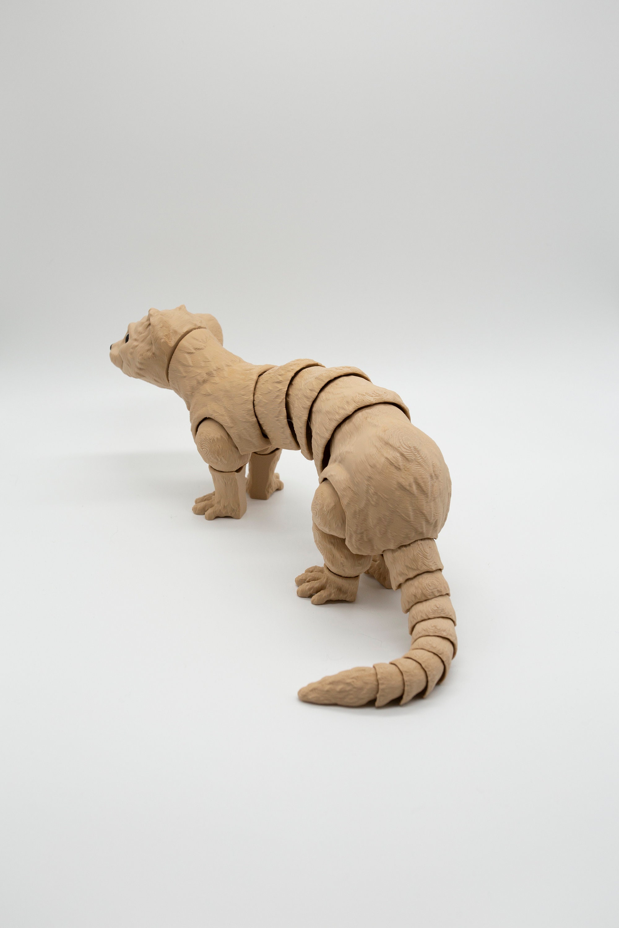 Articulating Ferret Available in Many Colors Animal Lovers Ferret ...