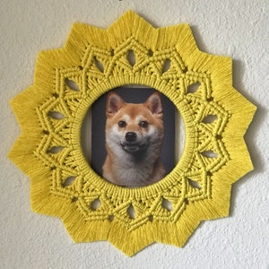 May include: A yellow macrame frame in a starburst design surrounds a portrait of a Shiba Inu dog. The frame has a circular opening and is mounted on a white wall. The text "Road of Flowers" is at the top.
