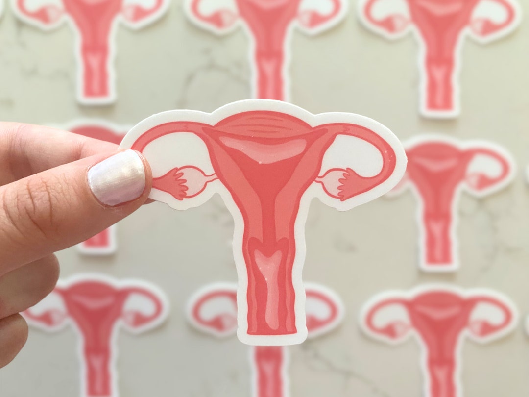 Uterus Sticker, Medical Stickers, for Kids, for STEM, for Medicine, for