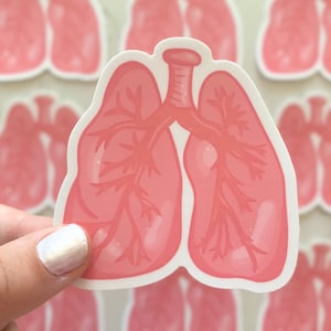 Lungs Sticker, Medical stickers, for kids, for STEM, for Medicine, for Med Students, Anatomy stickers,Health stickers, Science Sticker