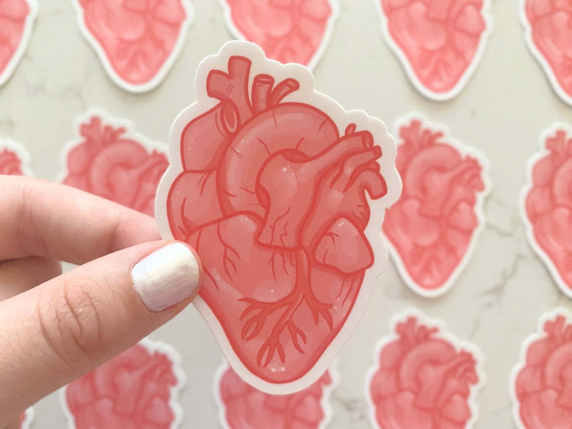 Heart Sticker Medical Stickers for Kids for STEM for Etsy