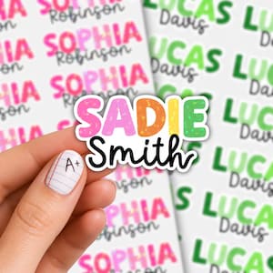 May include: A die-cut sticker featuring the name SADIE in a multi-colored, speckled font with the surname Smith written below in a black cursive script. The sticker is held against a background sheet of repeating name labels in pink and green.