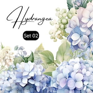 Set of 8 Png, Hydrangeas Clipart, Flowers Png, Hydrangeas Bouquet PNG, Hydrangeas Clipart PNG, Mixed Media, Digital Paper Craft, Wall Decor