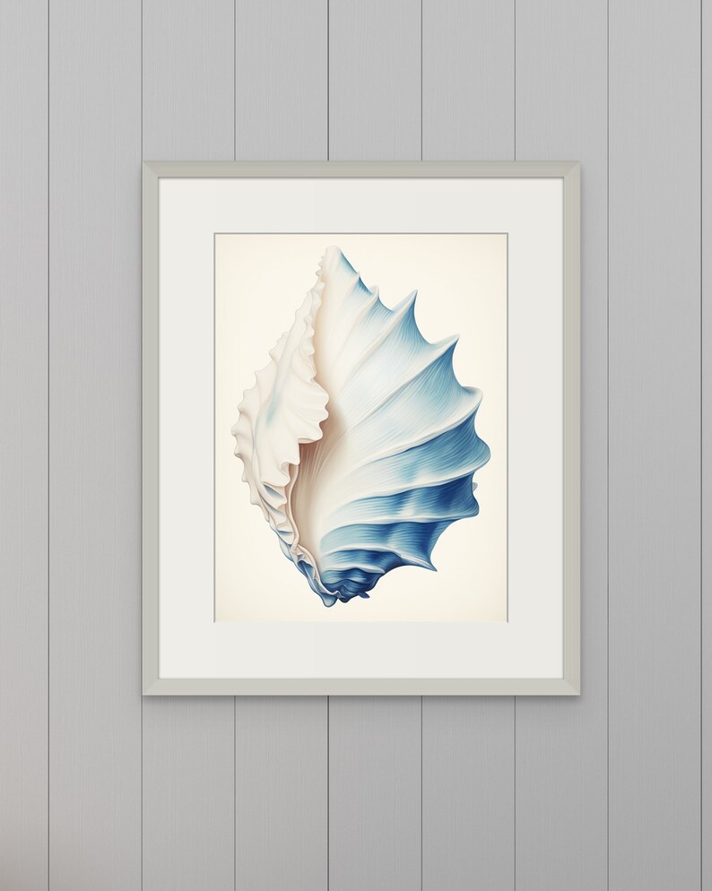 Blue Conch Shell II | Vintage Shell Poster | Hamptons Decor | Beach Art ...