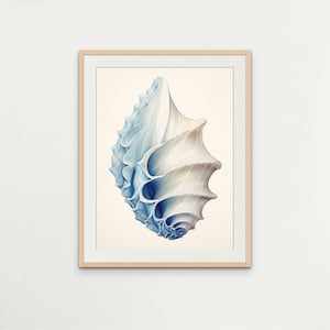 Blue Conch Shell Poster I | Conch Shell Print | Vintage Shell Print | Hamptons Decor | Hamptons Wall Art | Beach House Art | Shell