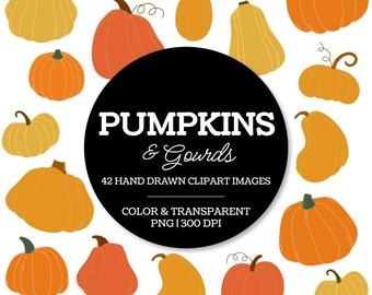 Pumpkin and Gourds Clipart - FALL CLIPART, Hand Drawn Color and Transparent Pumpkin Set Clipart, Clipart for Teachers and Scrapbooking