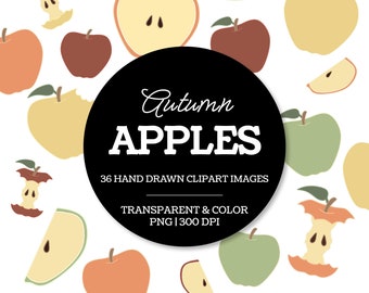 Autumn Apples Clipart - BACK TO SCHOOL Clipart, Hand Drawn Color and Transparent Apple Set Clipart, Clipart for Teachers and Classroom