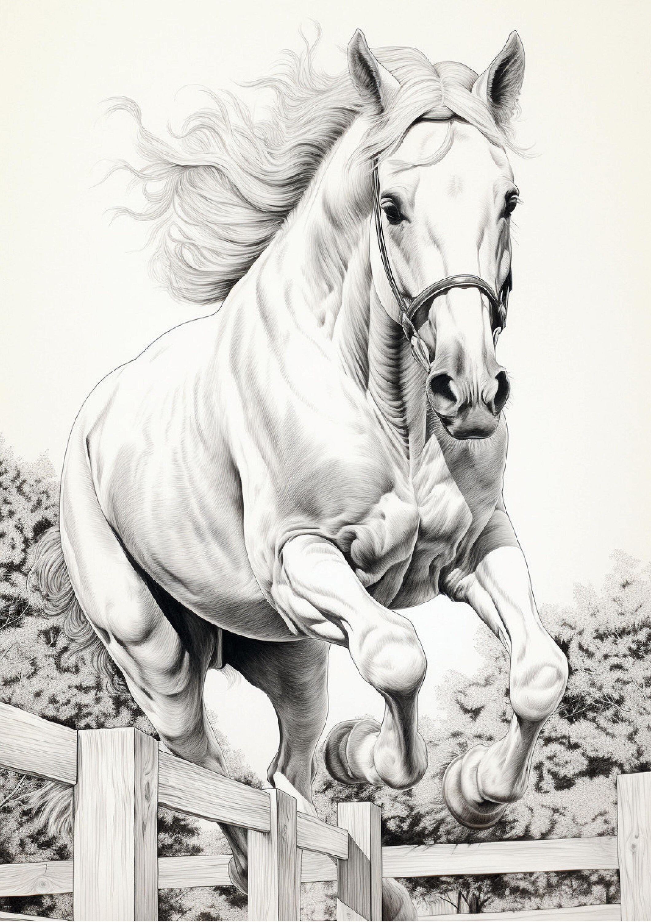 Equine Dreams: A Horse Lover's Coloring Adventure - Etsy