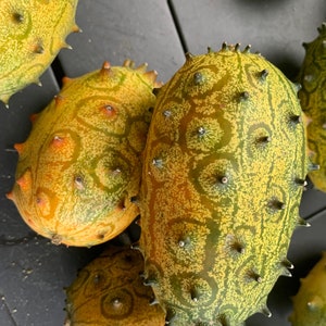 3 Pack: Fresh Picked Kiwano, Horned Melon, Jelly Melon, Tropical Cocktail Fruit, Superfood, Natural source of Magnesium, Antioxidants, Whole