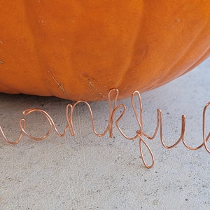 Custom Word Wall Signs - metal wire
