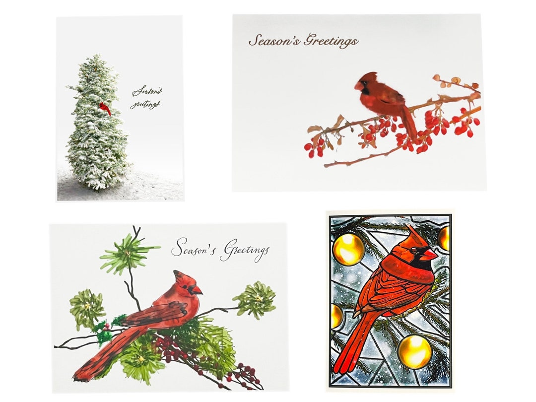 Red cardinal christmas cards set pack of christmas cards christmas