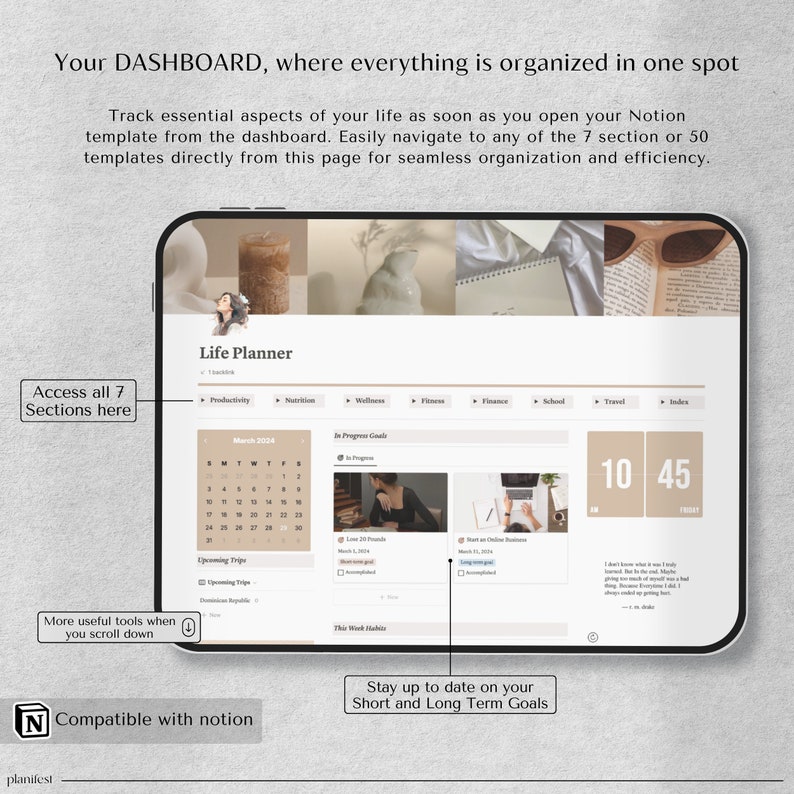 Notion Template | Life Planner Notion Dashboard | ADHD Digital Planner | Adult ADHD Notion Templates, Productivity Self Care Planner