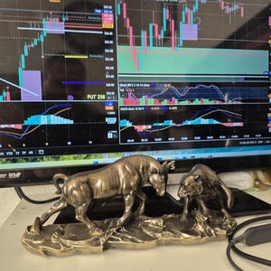 May include: A bronze sculpture depicting a bull and a bear facing each other, set against a computer monitor displaying stock market charts. A water bottle is visible to the right. The sculpture is on a white surface.