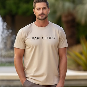 PAPI CHULO Unisex Heavy Cotton T-shirt, Spanish tshirt, Mexican Tee, papacito shirt, papi tshirt, papi gift, mexican boyfriend shirt, mens