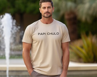 PAPI CHULO Unisex Heavy Cotton T-shirt, Spanish tshirt, Mexican Tee, papacito shirt, papi tshirt, papi gift, mexican boyfriend shirt, mens