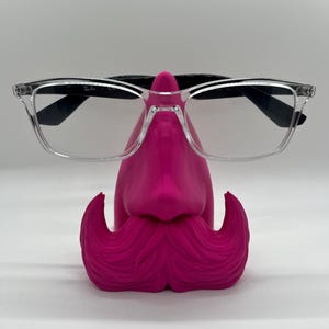 Nosey Wisdom Eye Glasses Holder Fun Playful Functional Prints