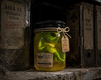 Alien Embryo Specimen Jar in Stasis Gel, Area 51 Lab Decor, Sci Fi Collector Display, Alien Science Kit, Nerdy Build Your Own Alien Specimen