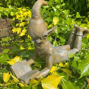 May include: A bronze garden ornament depicting an elf reading a book, lying amongst ivy. The elf has a pointed hat and boots. The book has visible text. The statue is a bronze colour and is surrounded by green and yellow ivy.