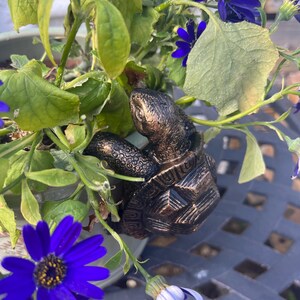 Tortoise Pot Hanger Planter Ornament Decorative Indoor Outdoor Garden Turtle Planting 8cm