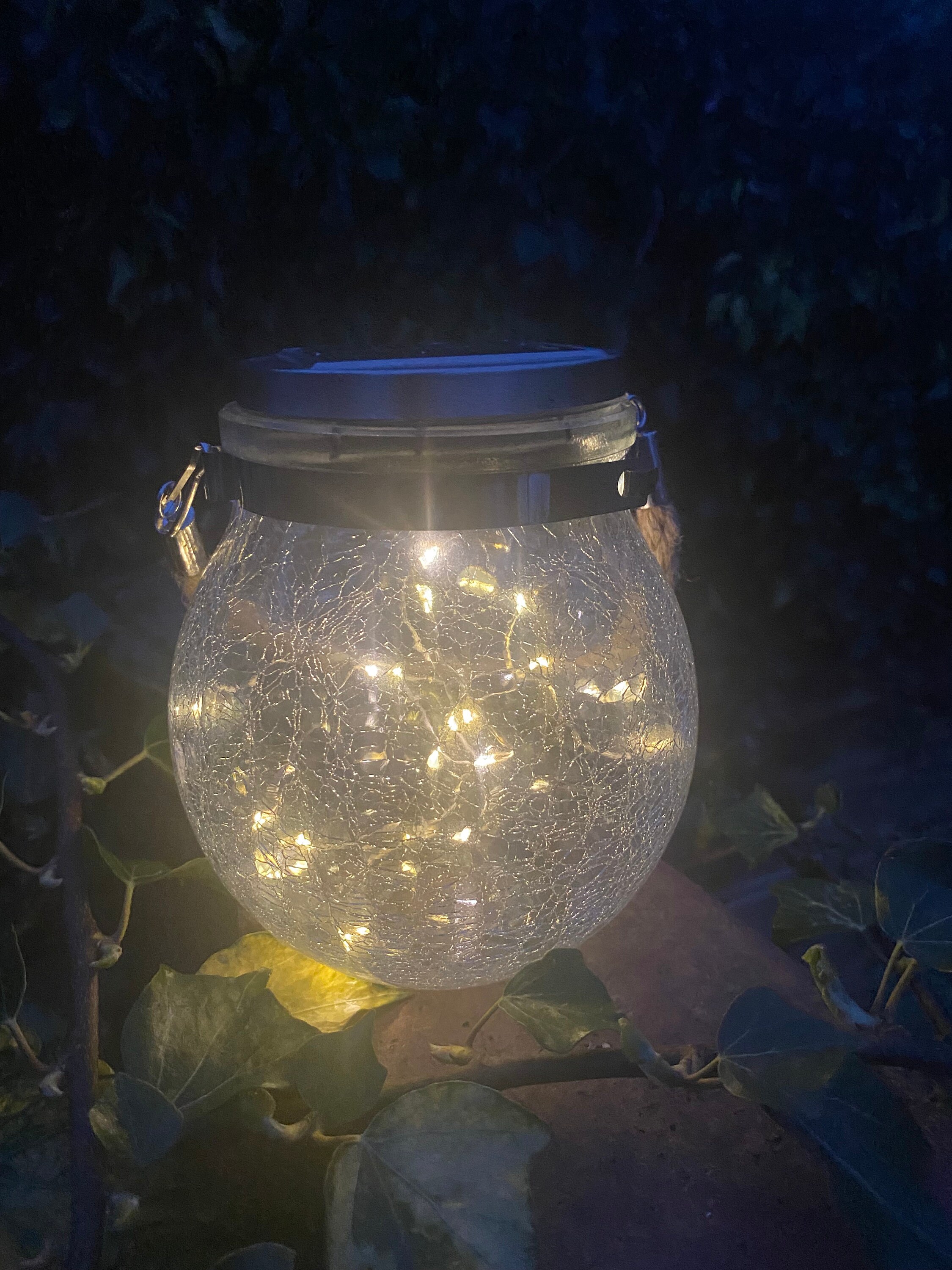 Single Tiny Solar Lights SOLAR LIGHTS – ExpoTech Innovation Ltd.