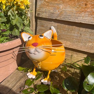 May include: Orange metal cat planter with white ears, paws, and a white face. The cat has a pink nose and black whiskers. The planter is sitting on a wooden surface.