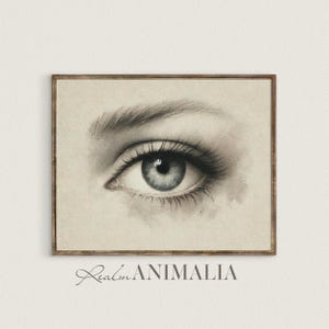 Blue Eye Drawing: Lover's Eye Anatomy Art Print (Digital Download) S137