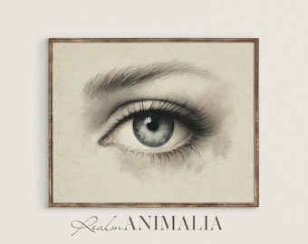 Blue Eye Drawing: Lover's Eye Anatomy Art Print (Digital Download) S137