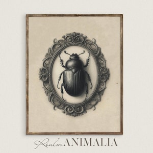 Beetle Sketch Art Print, Moody Gothic Victorian Insect Printable Wall Art, Vintage Bug Illustration, Dark Academia Cottagecore Prints | S101