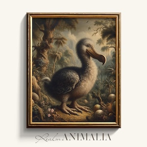 Dodo Bird Art Print, Extinct Animal Species Illustration, Vintage Bird Printable Wall Art, Antique Style Nature Painting, Dodo Poster |DD001