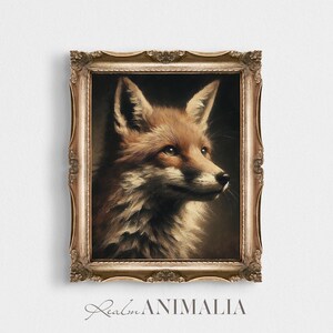 Op de afbeelding: Een vintage portret van een vos in een lijst. De vos heeft roodbruine vacht tegen een donkere achtergrond. De sierlijke, goudkleurige lijst voegt een klassieke touch toe. De tekst "Realm Animalia" staat onderaan.