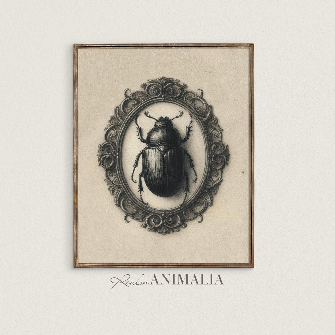 Beetle Sketch Art Print: Gothic Victorian Insect Illustration (digital ...