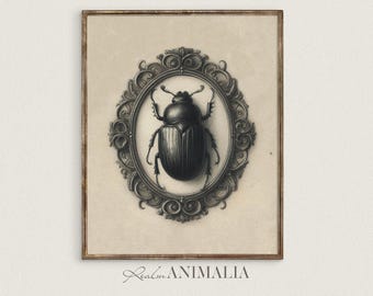Beetle Sketch Art Print: Gothic Victorian Insect Illustration (Digital Download) S101