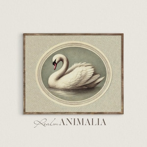 Vintage Swan Art Print, Soft Neutral Printable Wall Art, Nursery Room Art Prints, Antique Swan Bird Drawing, Cottagecore Home Decor | SG106