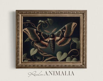 Gold Moth Girl 8.5 X 11 Art Print, Artwork Wall Aesthetic