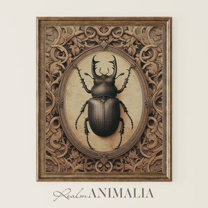Beetle Art Print, Moody Victorian Insect Printable Wall Art, Dark Cottagecore Drawing, Gothic Dark Academia Decor Digital Download | BTL005
