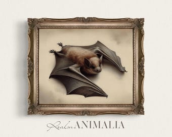 Antique Bat Portrait Art Print, Vintage Illustration (Digital Download)
