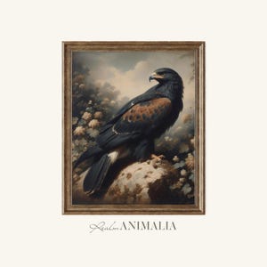 Vintage Black Hawk Painting: Moody Bird of Prey Art (Digital Download)
