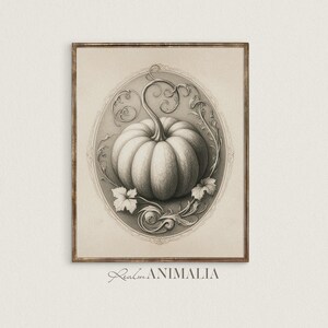 Vintage Pumpkin Sketch: Victorian Autumn Botanical Art (Digital Download) S122